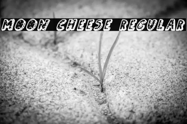 Moon Cheese Regular 字体 examples