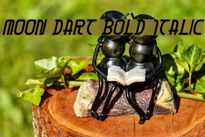 Moon Dart Bold Italic Fuentes examples