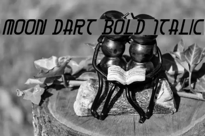 Moon Dart Bold Italic Fuentes examples