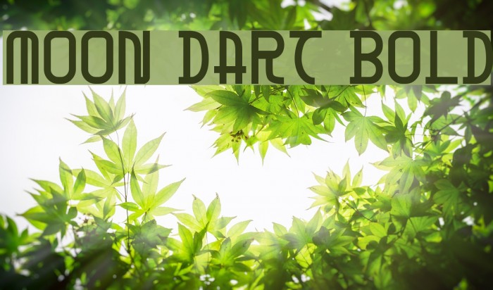 Moon Dart Bold Font examples