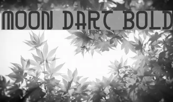 Moon Dart Bold Font examples