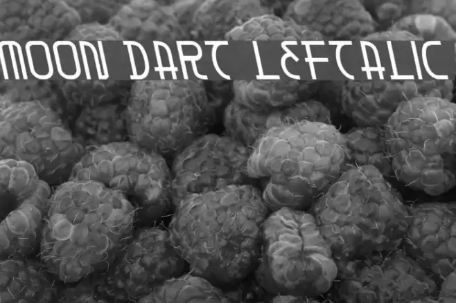 Moon Dart Leftalic Schriftart examples