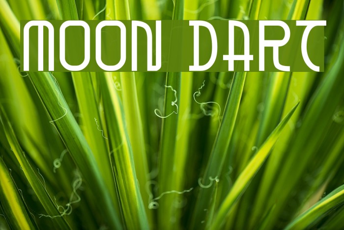 Moon Dart Font examples