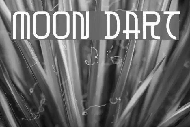 Moon Dart Fuentes examples