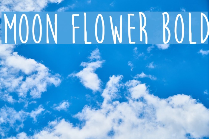 Moon Flower Bold Font examples