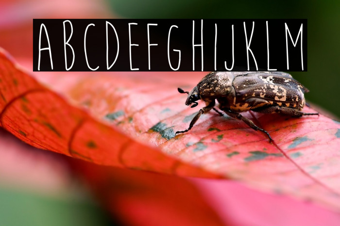 Moon Flower Example 2