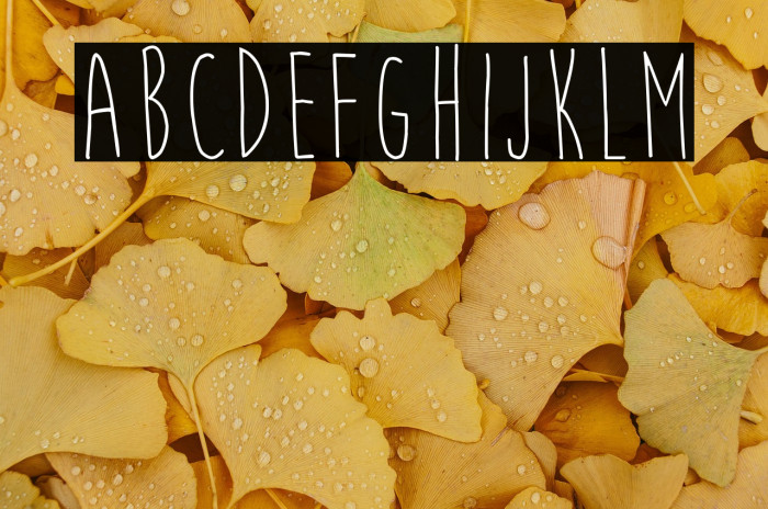 Moon Flower Example 3