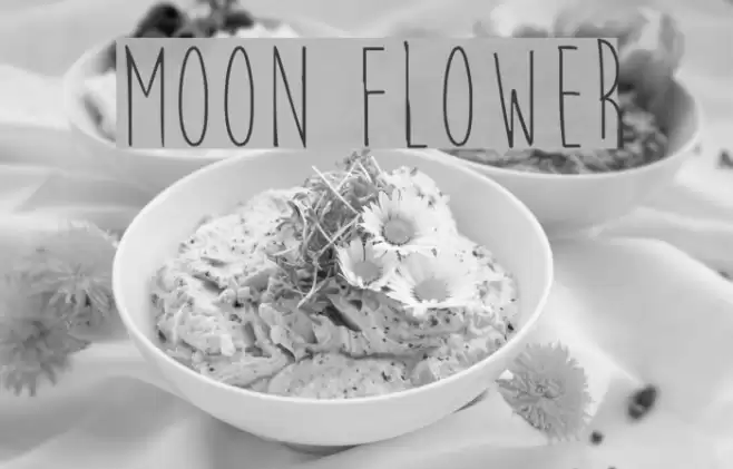 Moon Flower Font examples
