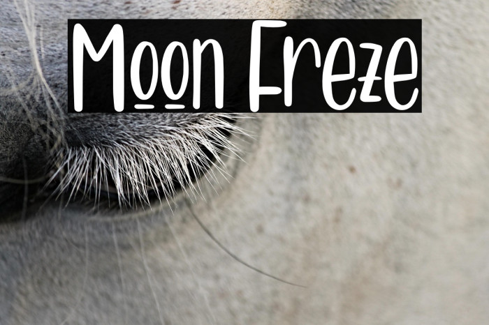 Moon Freze Example 2