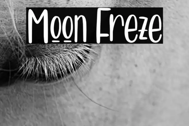 Moon Freze Font examples