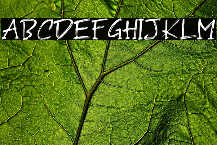 Moon Light Demo Example 3