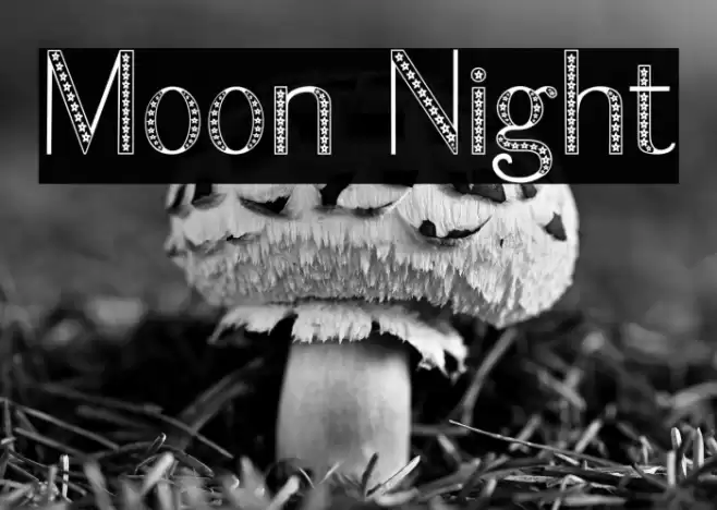 Moon Night Fonte examples