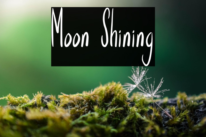 Moon Shining Example 1