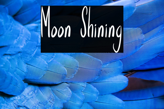 Moon Shining Example 3