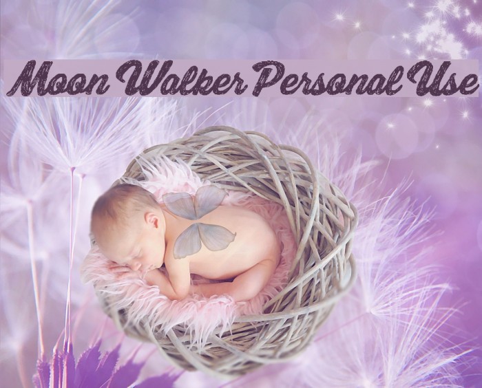 Moon Walker Personal Use Font examples
