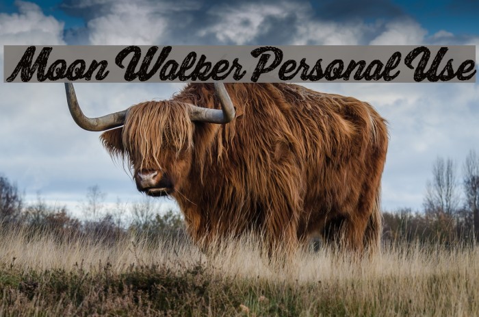 Moon Walker Personal Use Font examples