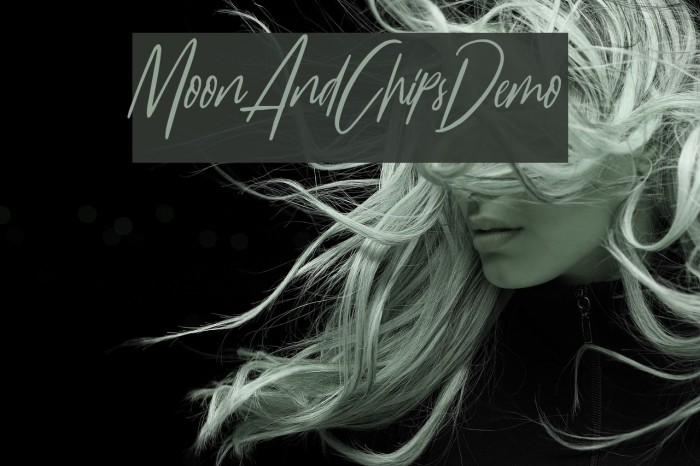 MoonAndChips-Demo Font examples
