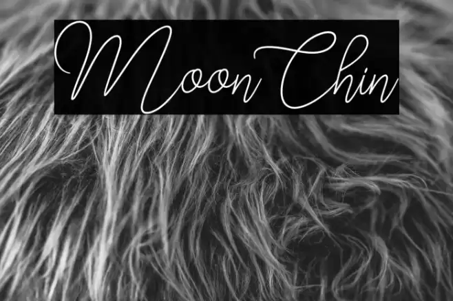 MoonChin Font examples