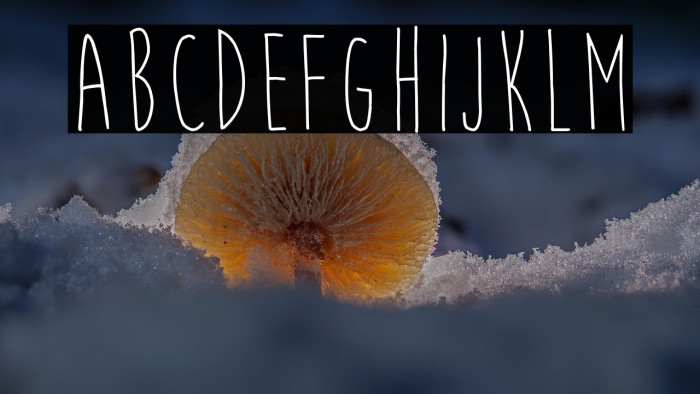 MoonFlower Example 1