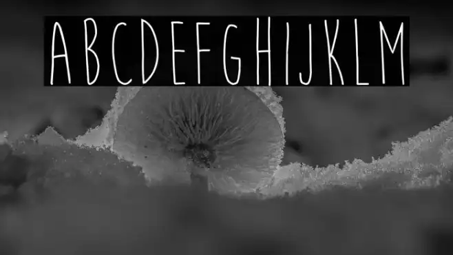 MoonFlower Example 1