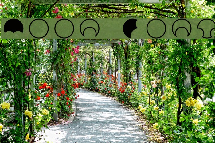 Moon Font examples