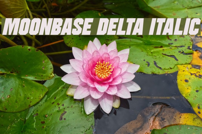 Moonbase Delta Italic Font examples