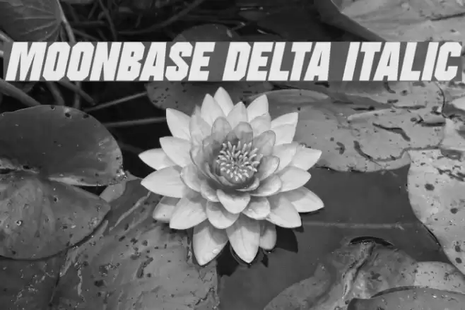 Moonbase Delta Italic फ़ॉन्ट examples