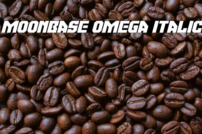 Moonbase Omega Italic Example 1