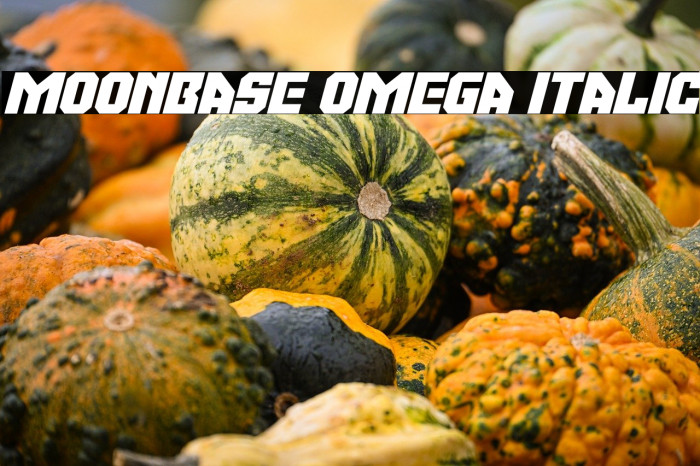 Moonbase Omega Italic Example 2