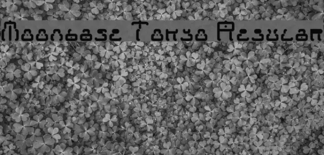 Moonbase Tokyo Regular Example 2