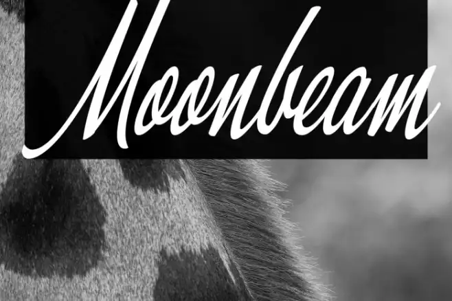 Moonbeam Example 2