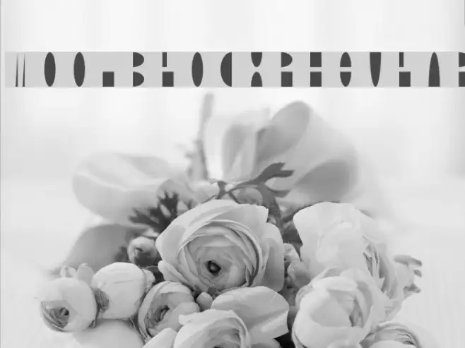 Moonblock-Regular Example 3