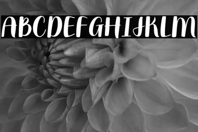 Moonbright Demo Font examples