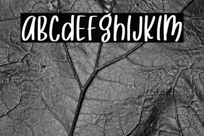 Mooncake Font examples