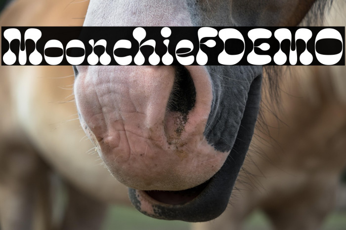 MoonchiefDEMO Example 1