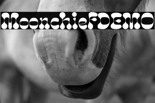 MoonchiefDEMO Font examples