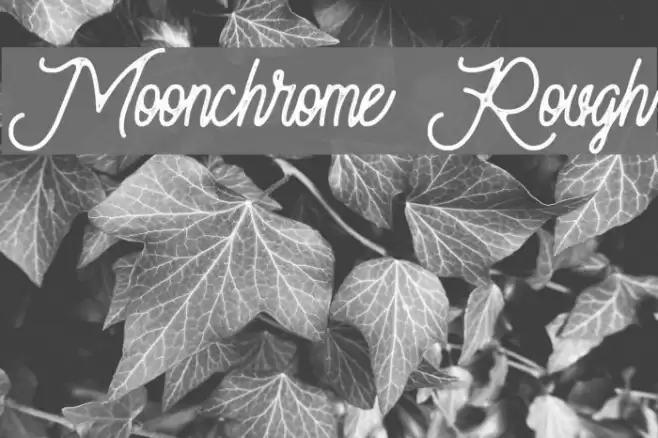 Moonchrome Rough Font examples