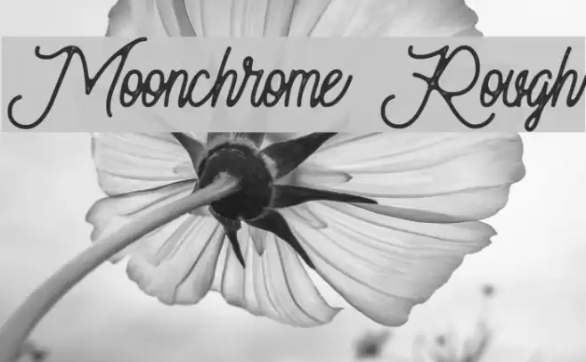 Moonchrome Rough Font examples