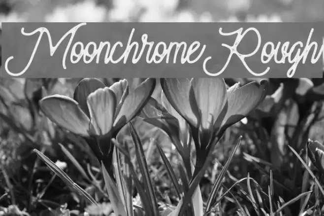 MoonchromeRough Example 3