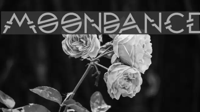 Moondance Font examples