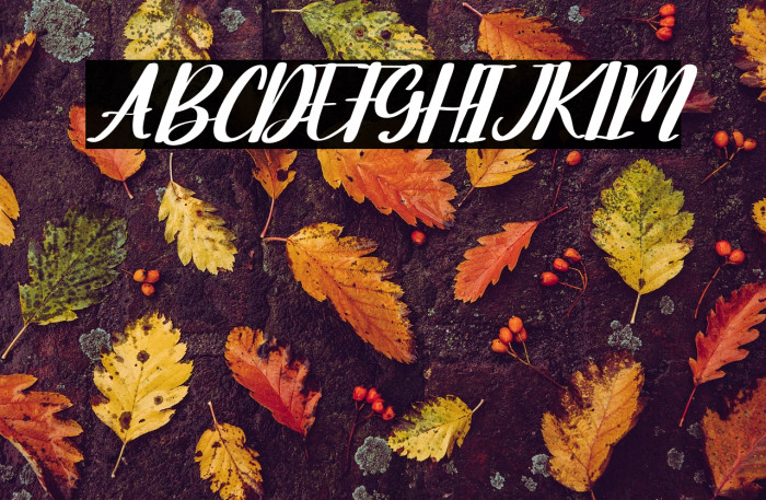 Moonday Italic Example 1