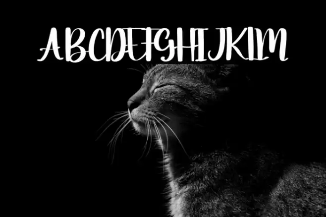 Moonday Font examples