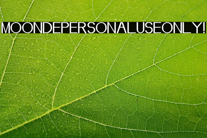 Moonde PERSONAL USE ONLY! Example 2