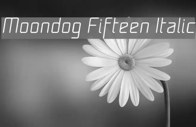 Moondog Fifteen Italic Font examples