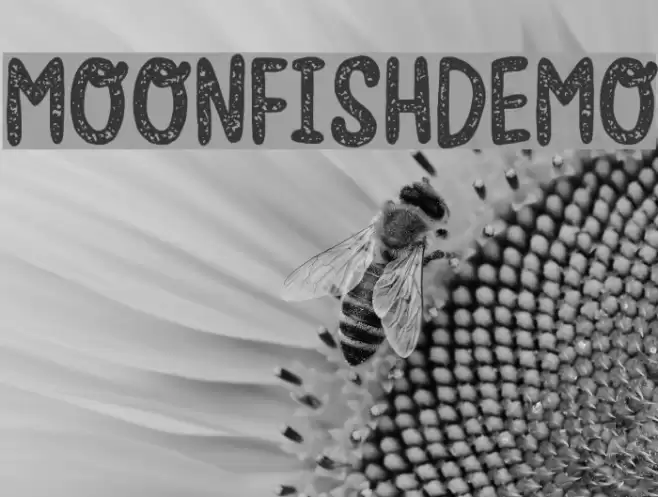 MoonfishDEMO Font examples
