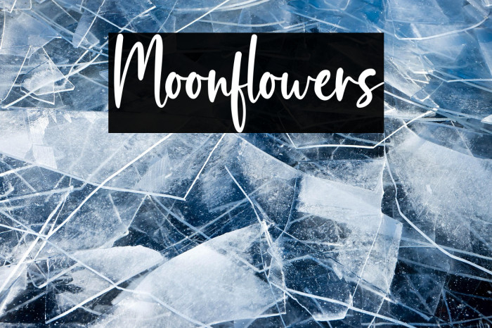 Moonflowers Example 1