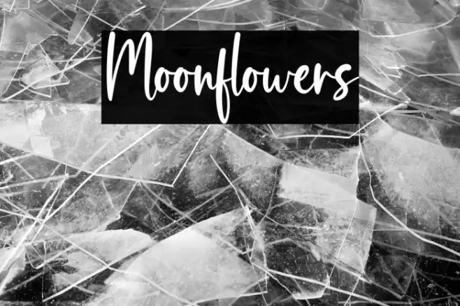 Moonflowers Font examples