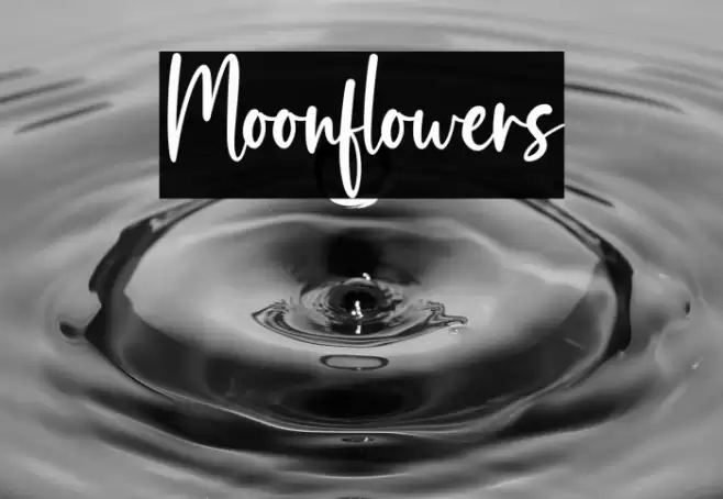 Moonflowers Font examples