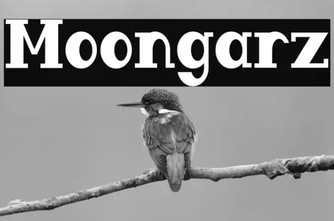 Moongarz Example 2