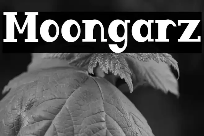Moongarz Example 3